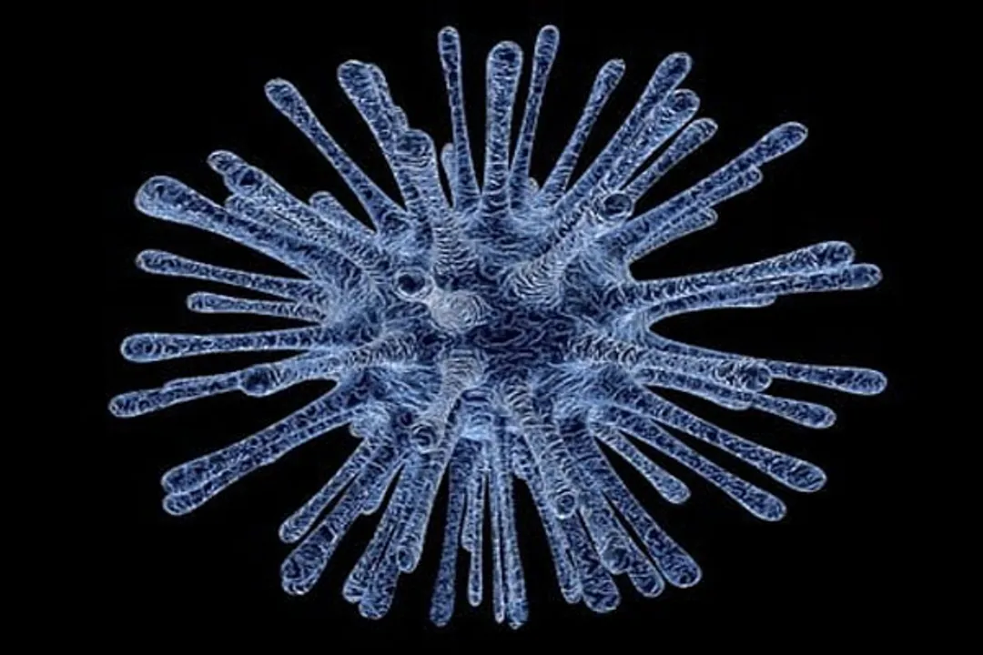  Experts say monkeypox patients could be infectious for up to 4 weeks