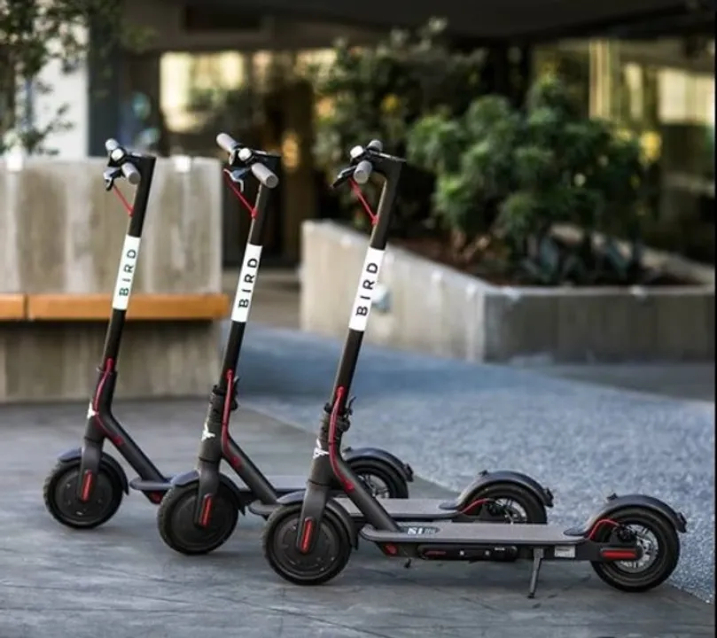  E-scooter major Bird lays off 23% of employees