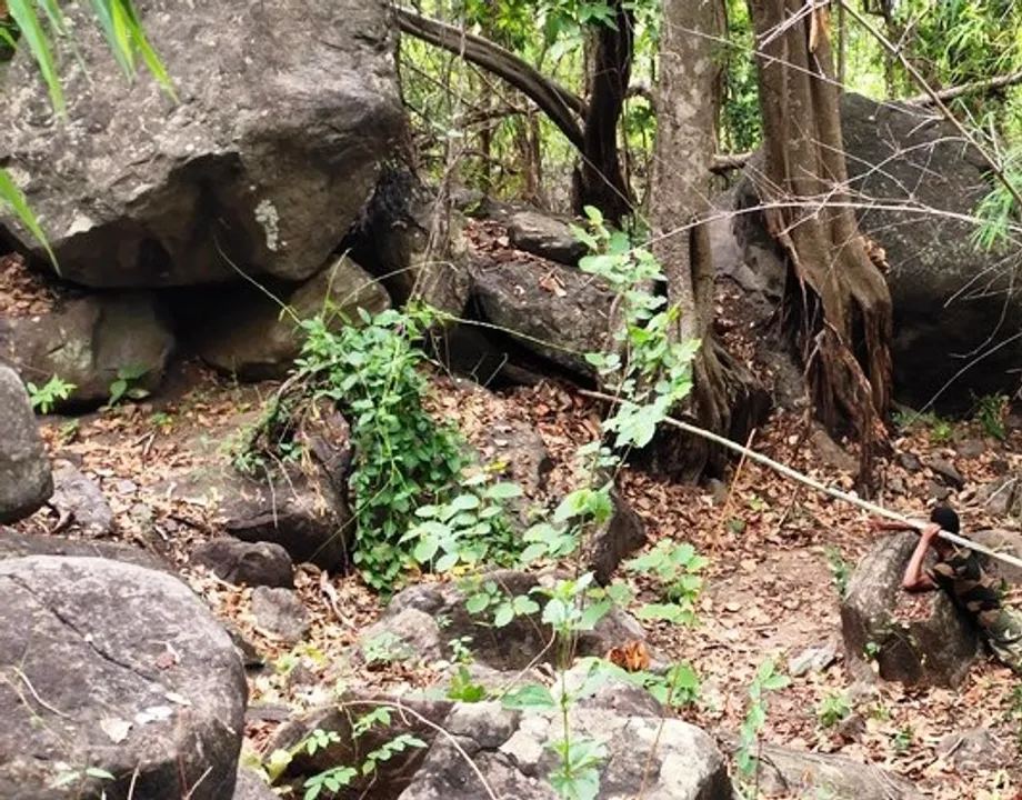 IED, 89 kg gelatin sticks recovered from Odisha's Malkangiri