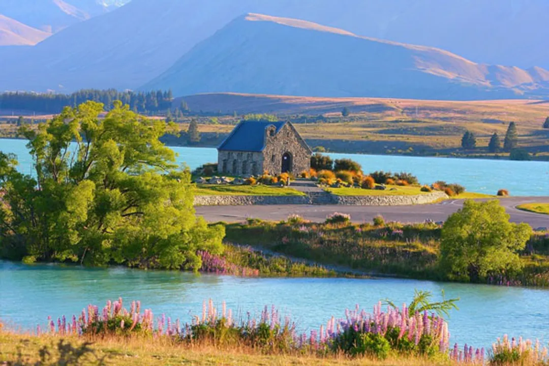  Fifty shades of green; how New Zealand is leading