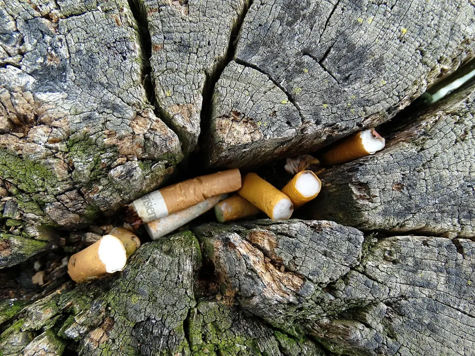  Environment Day: How rising tobacco consumption in Odisha contributes to climate crisis