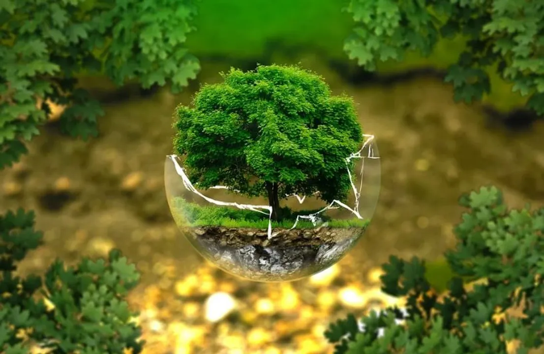  Happy World Environment Day 2023 Quotes, Wishes, Messages, Greetings, WhatsApp status