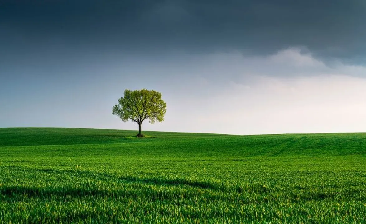  World Environment Day Theme 2023, History, Significance, All you need to know