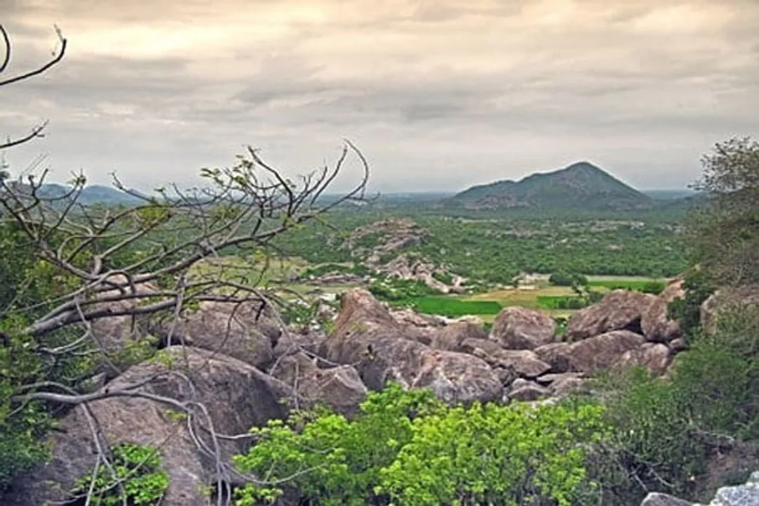  World Environment Day 2022 Theme, History, Significance