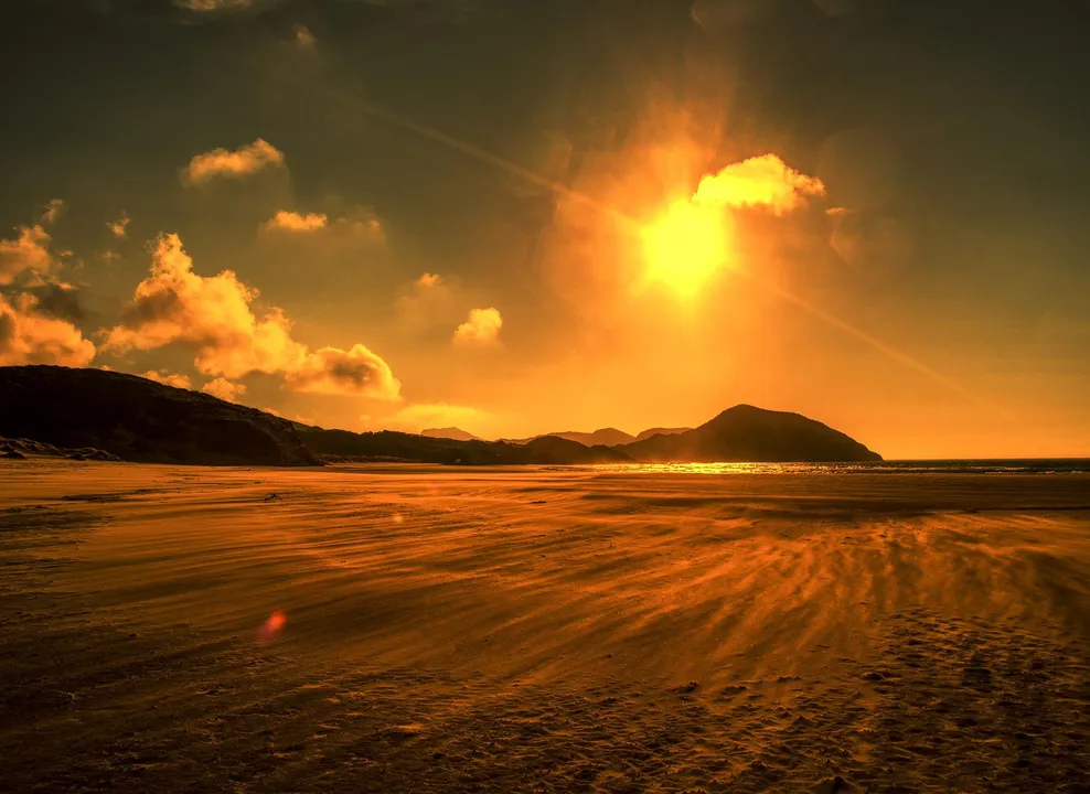 Temperature overshoot causes major damage to biodiversity