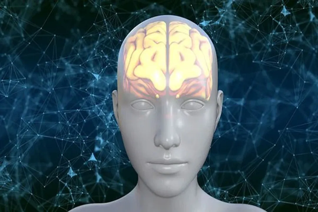  Breathing toxic particles can affect brain, lead to neurological damage