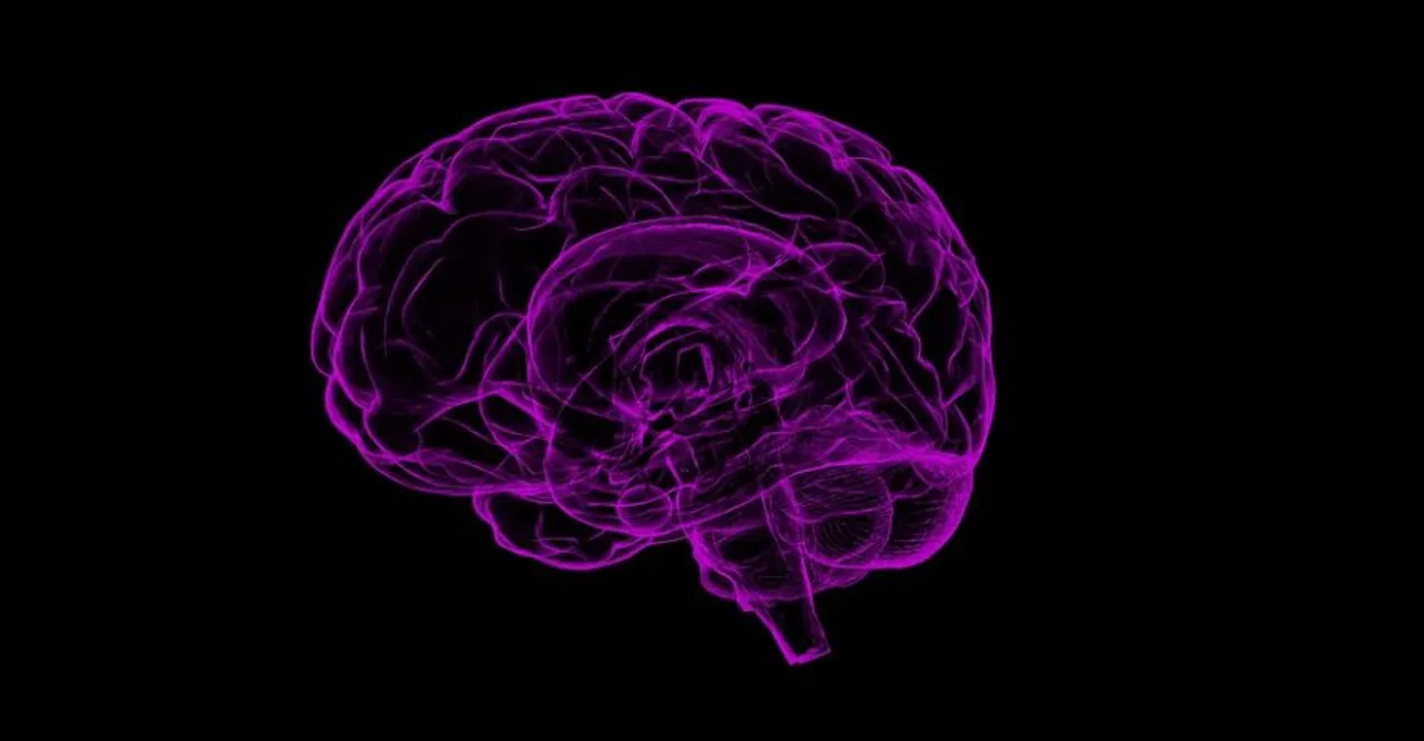  Study reveals possible cause of long Covid 'brain fog'