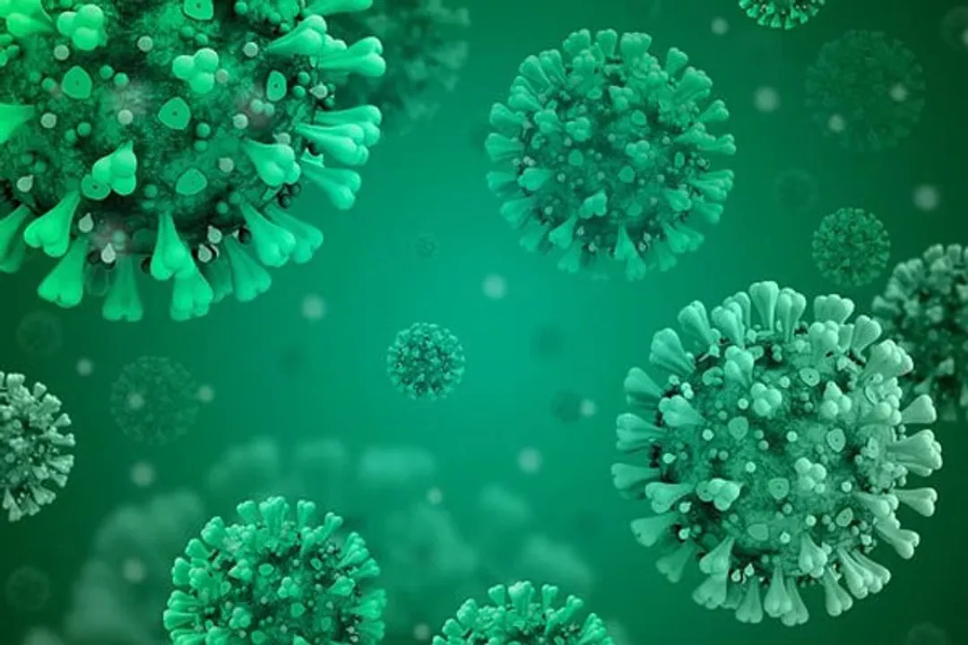  Is your cough, fever due to H3N2 virus or COVID?