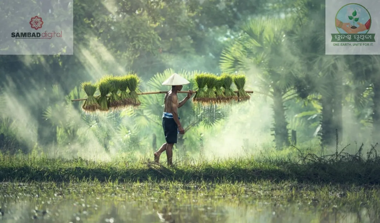  Variations in monsoon may lead to food insecurity: Experts