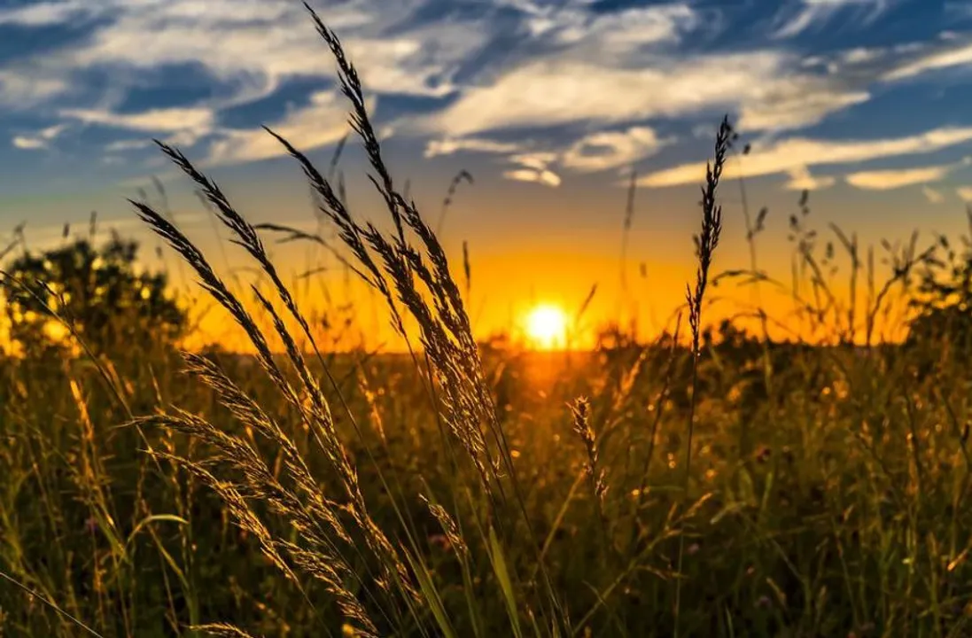  Severe heat wave in South Asia poses threat to future of farming