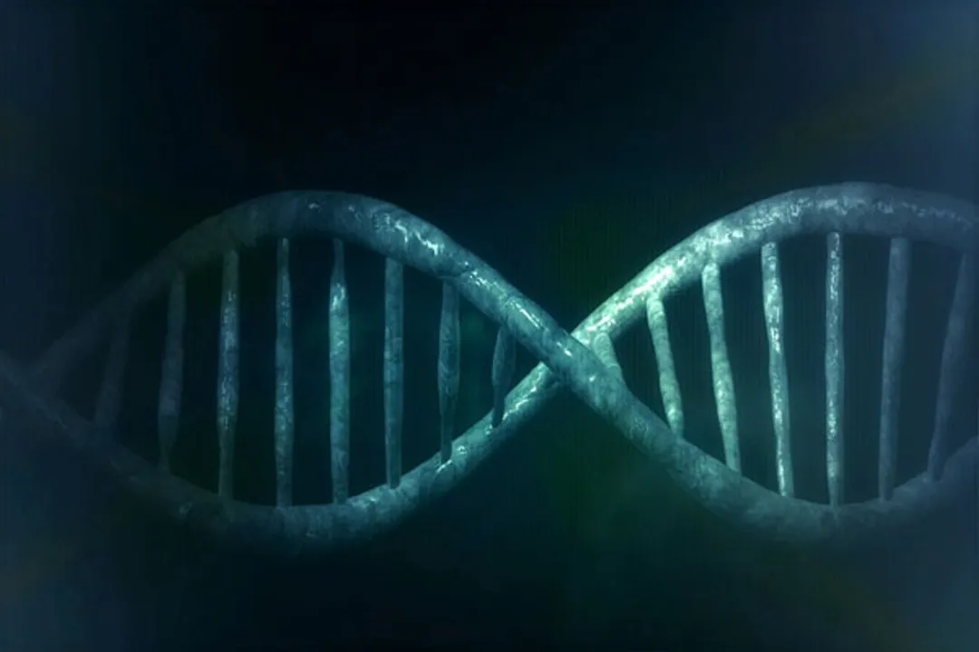  US FDA okays 1st gene therapy for young kids with rare muscular dystrophy