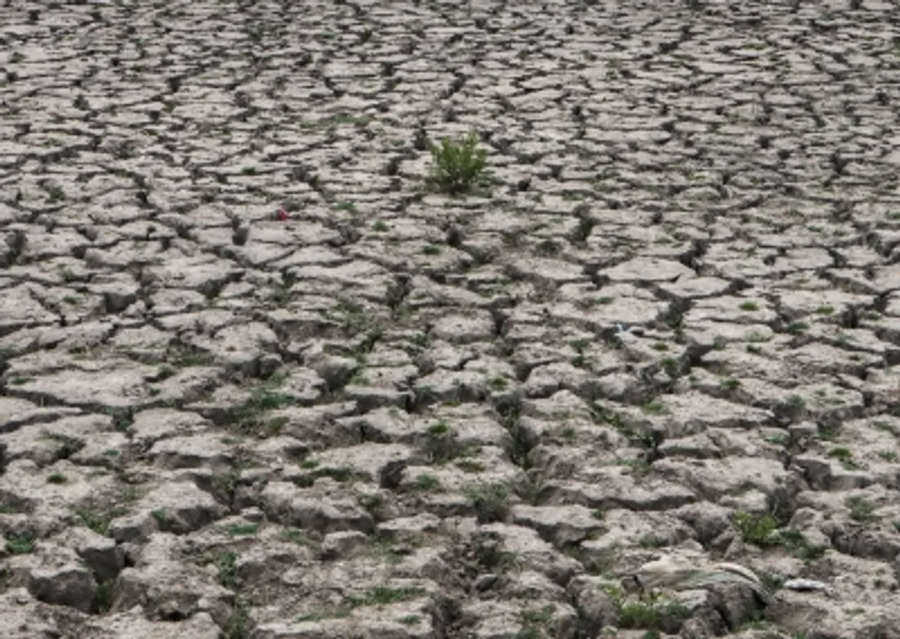  Europe's rivers run dry as drought could be worst in 500 years
