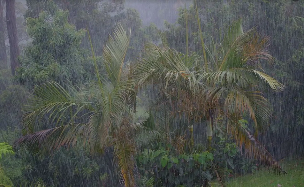  Low Pressure to form over Bay of Bengal after May 6; Will it become cyclone?