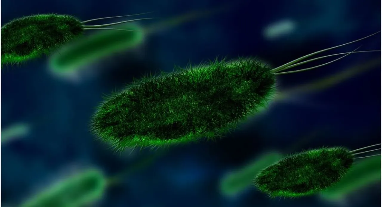  New Langya virus in China infects 35 people, can impair liver & kidney