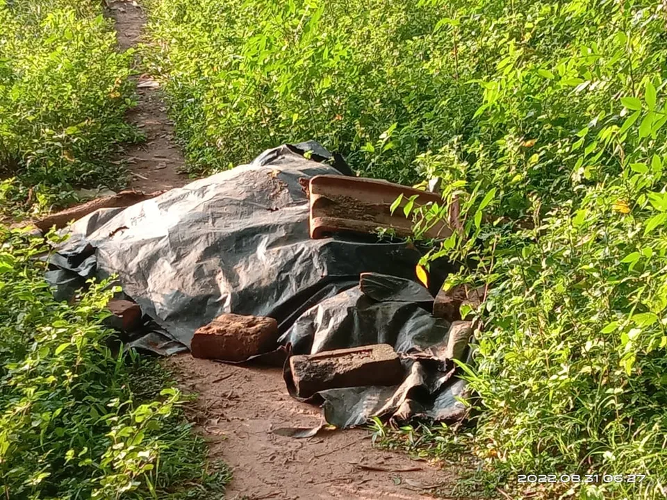  Woman dies after violently assaulted by paramour in Odisha's Mayurbhanj