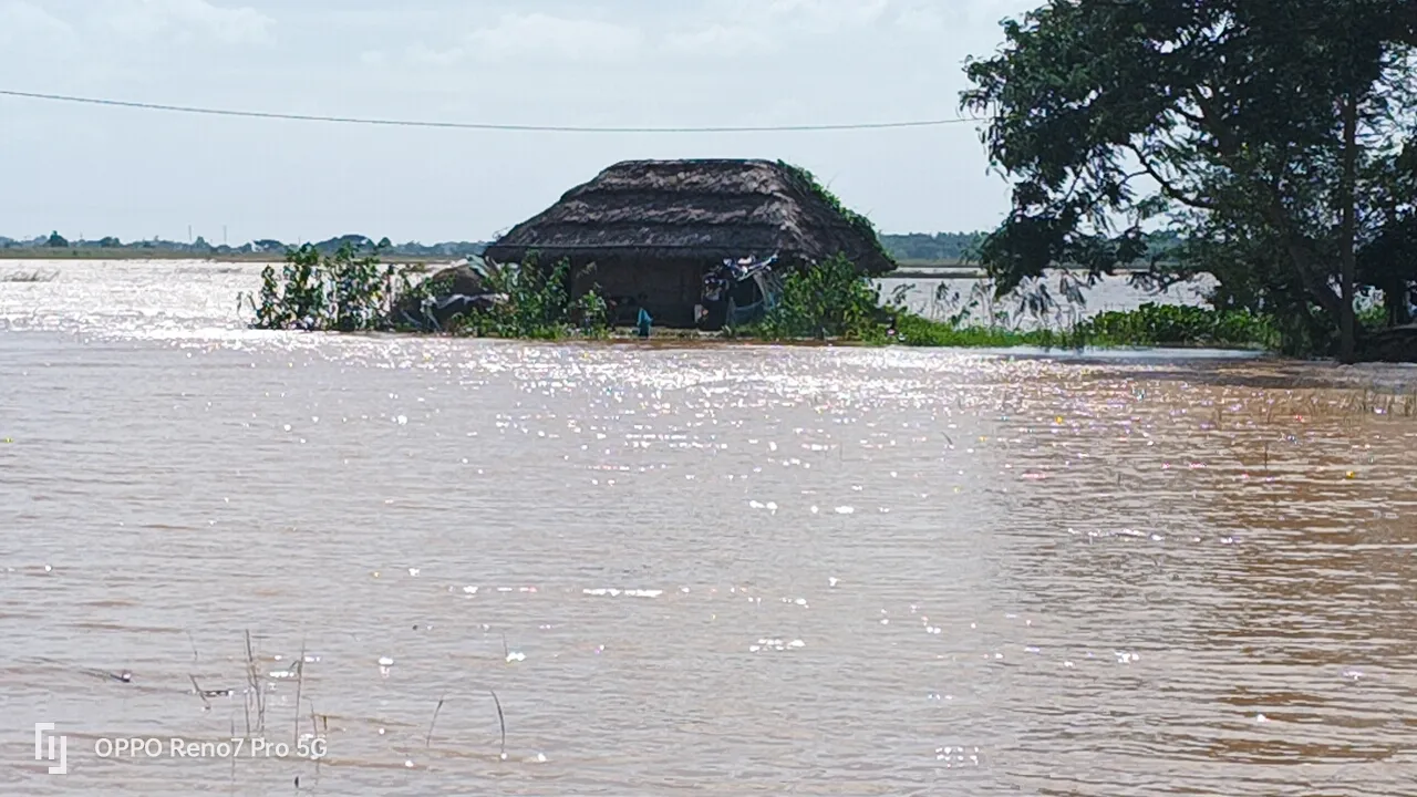  60 feet breach in embankment floods villages in Odisha's Jajpur