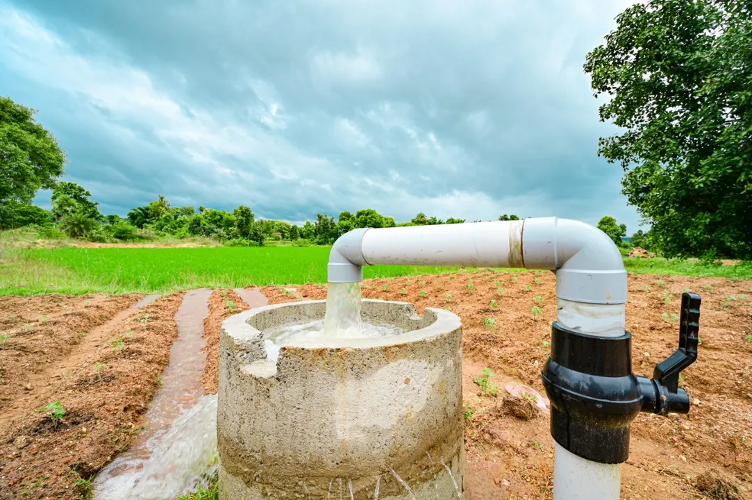  Lift irrigation projects augment income of farmers in Odisha's Sundargarh