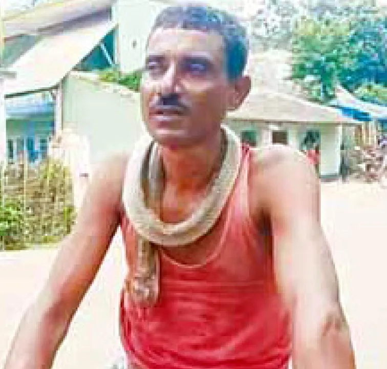  Man bites back snake, kills it in revenge bid in Odisha