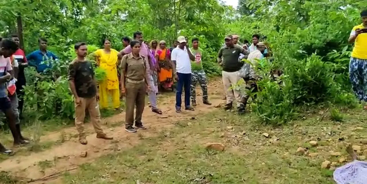  Elderly woman trampled to death by elephant in Odisha's Deogarh