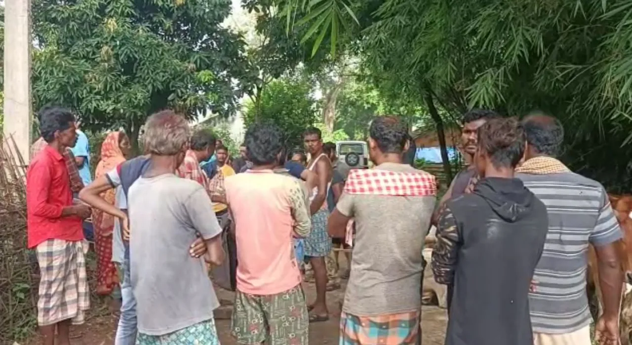  Villagers detain Forester, staff in Odisha's Mayurbhanj over elephant menace