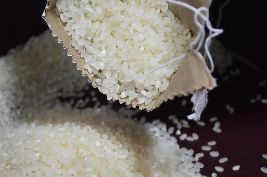  Centre bans export of broken rice
