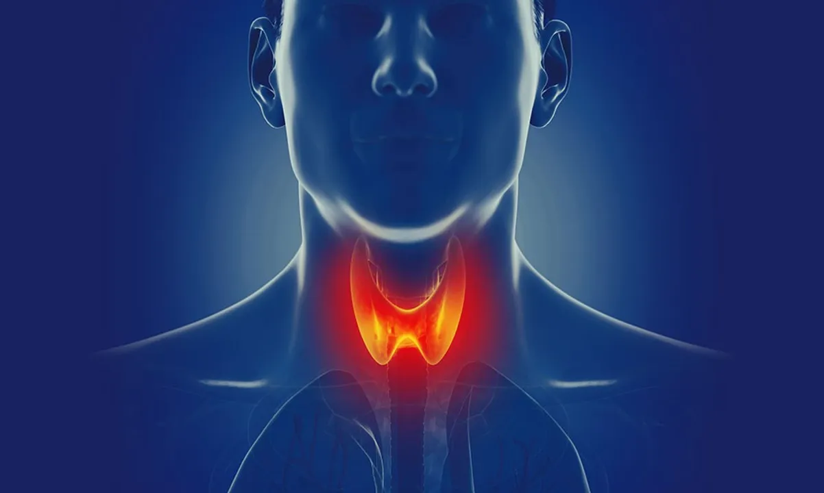  Thyroid disease can result in body function abnormally