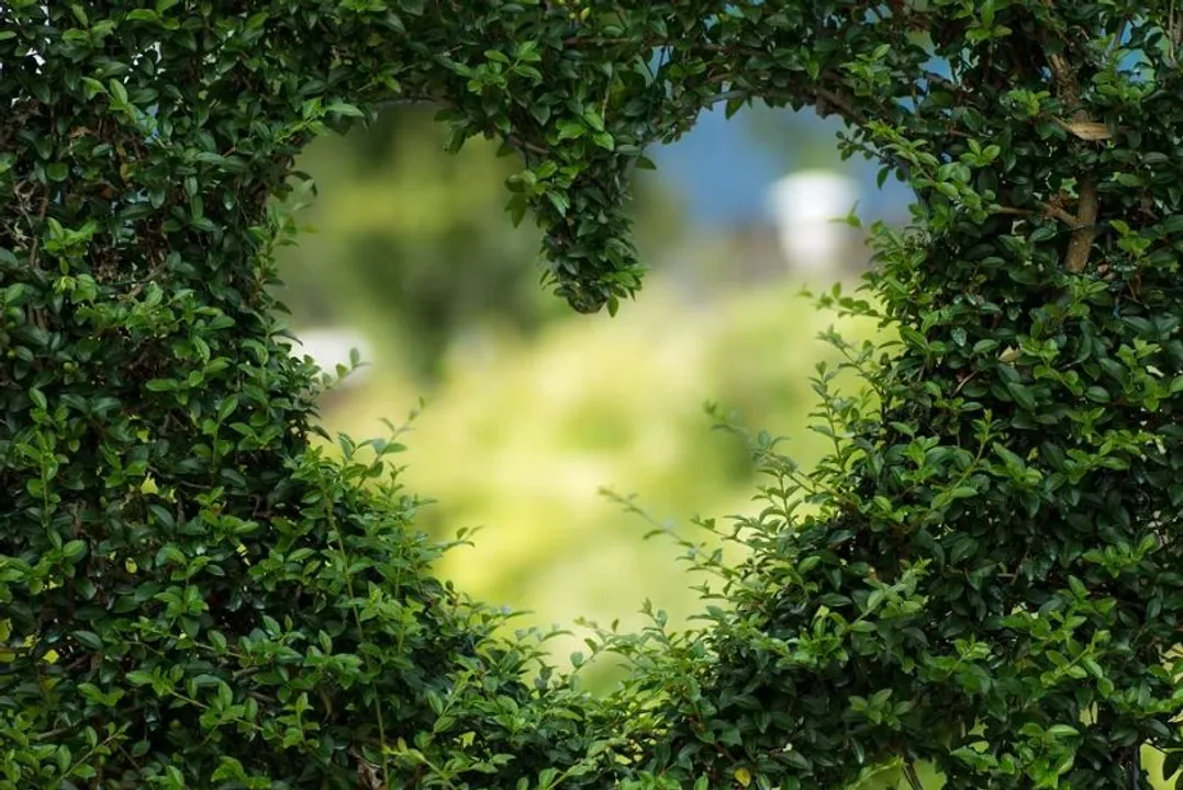  World Heart Day 2022 Theme, Importance, Quotes, Wishes, Messages, WhatsApp status, SMS