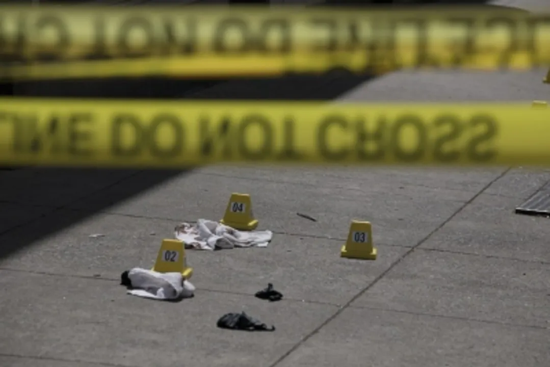  Police identify victims of US shooting, suspected gunman in custody