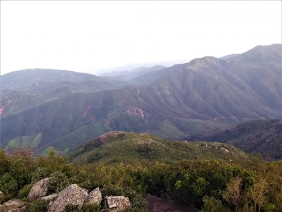  Odisha govt notifies Mahendragiri hill as biodiversity heritage site