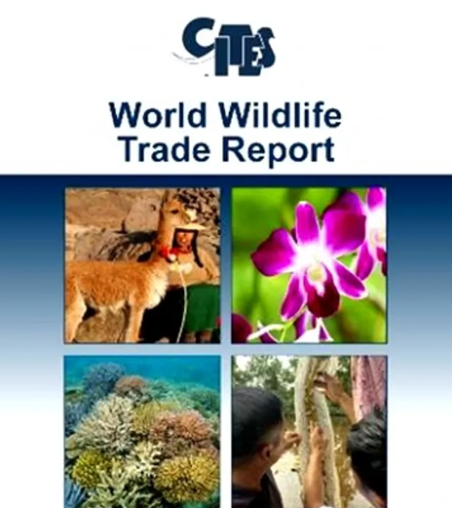  Asia, Europe top global wildlife trade regions: CITES first-ever report