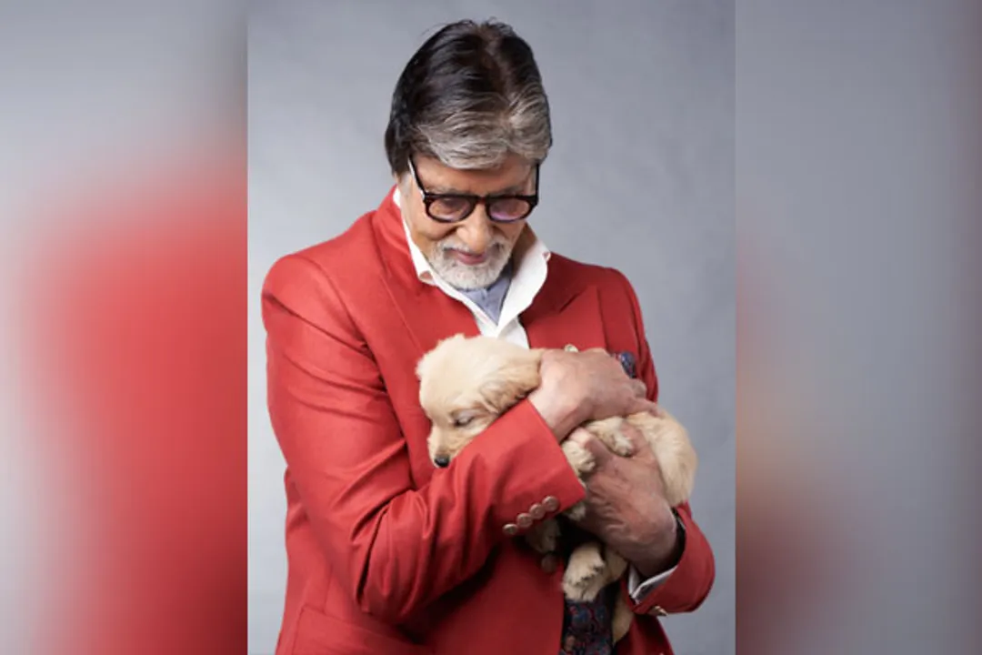  Big B mourns passing of pet golden retriever