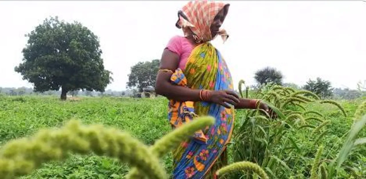  Millet Mission to be extended to all districts of Odisha: CM