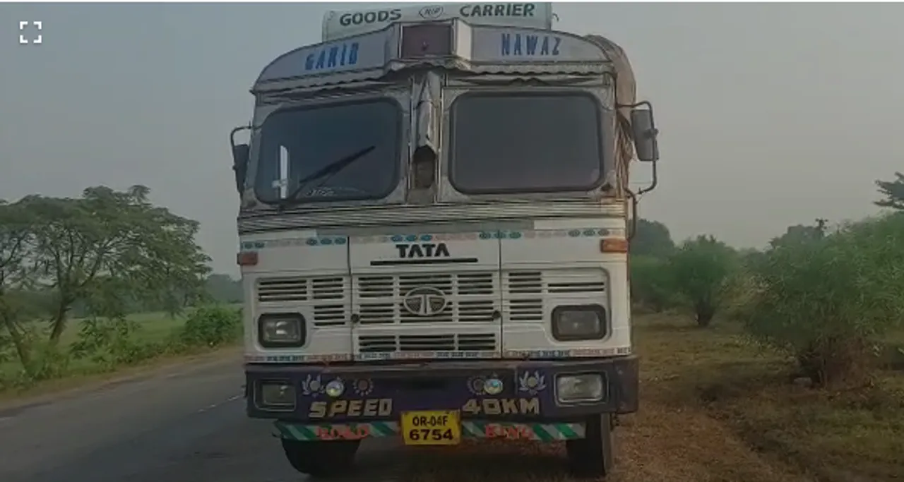  Over 800 cattle rescued, 4 detained in smuggling case from Odisha's Balasore