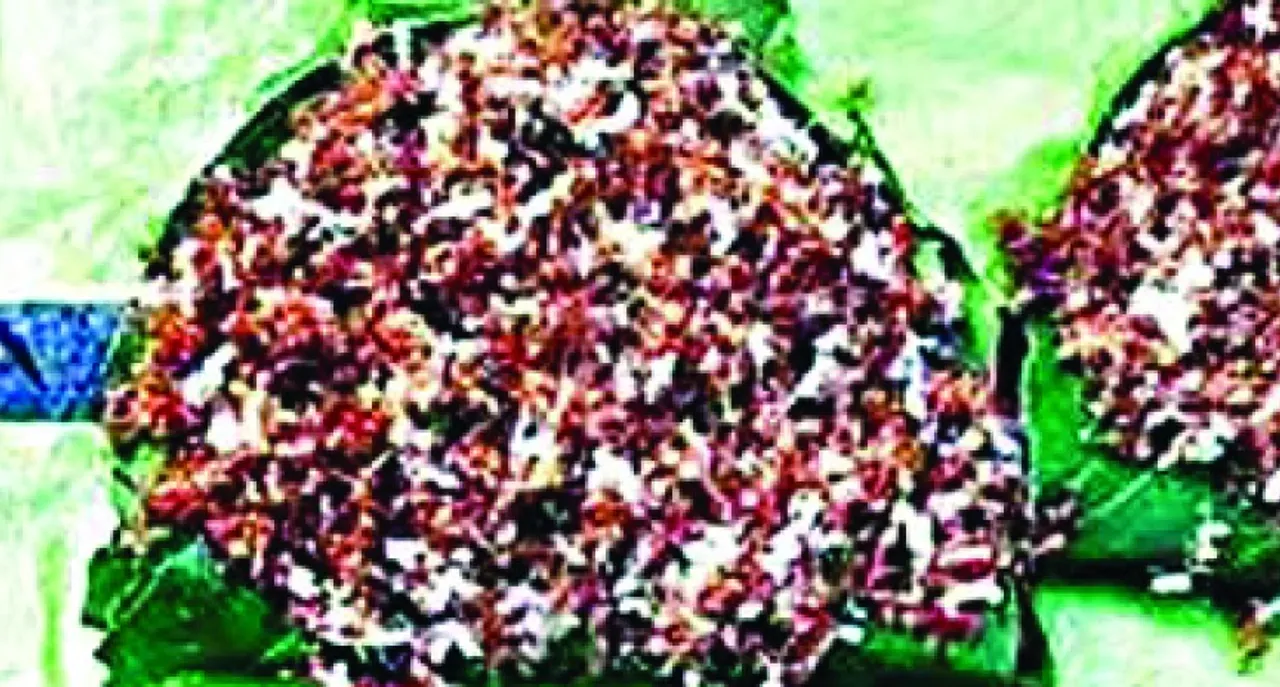  Mayurbhanj Kai Chutney all set to get GI tag; Consultative Group Meeting on Dec 6