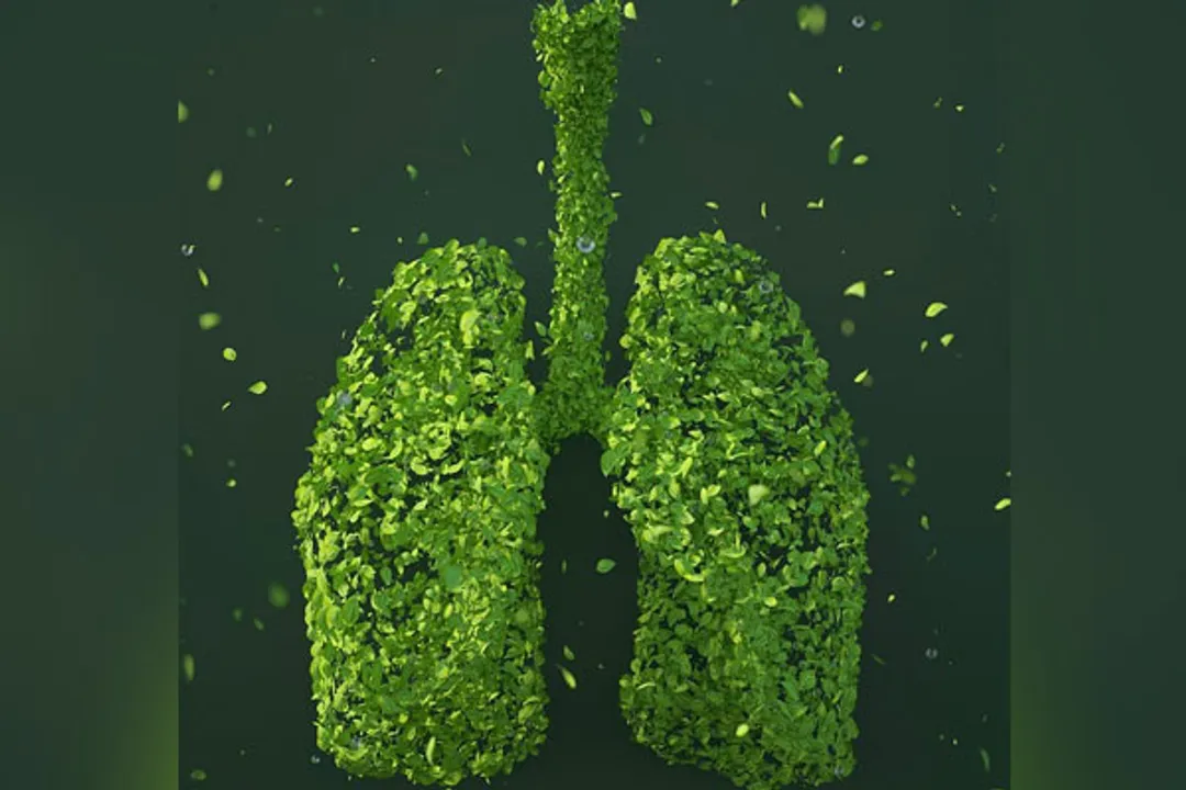  World Pneumonia Day 2022 Wishes, Messages, Quotes, Greetings