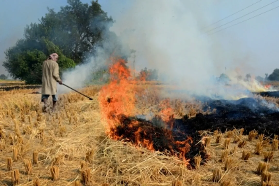  NHRC holds states responsible for continued stubble burning