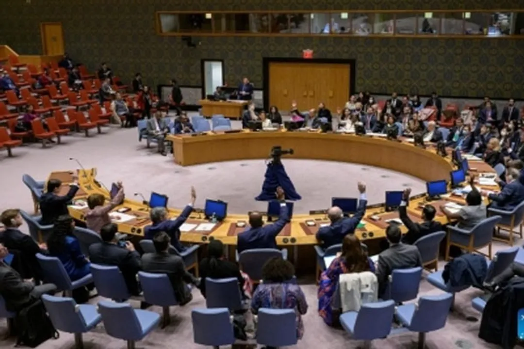  UNSC elects judge to International Court of Justice