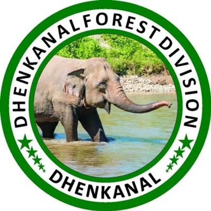  6 persons arrested after DFO suffers injuries in stone mafia attack in Odisha's Dhenkanal