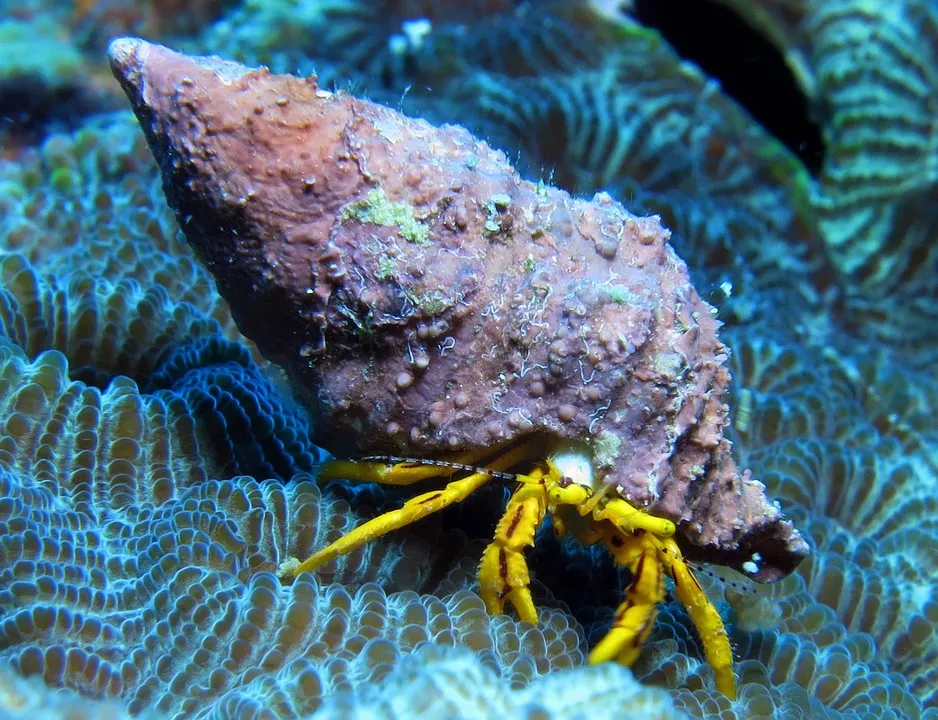  Human activity devastating marine species: IUCN Red List