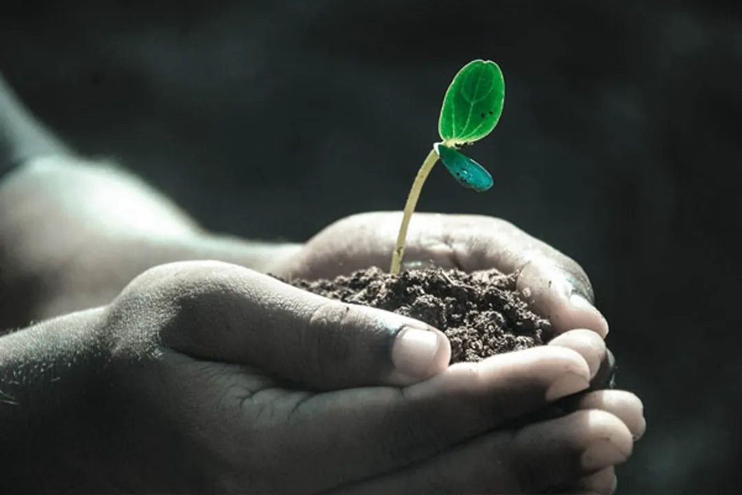  Happy World Soil Day 2022 Wishes, Messages, Quotes to greet on the occasion