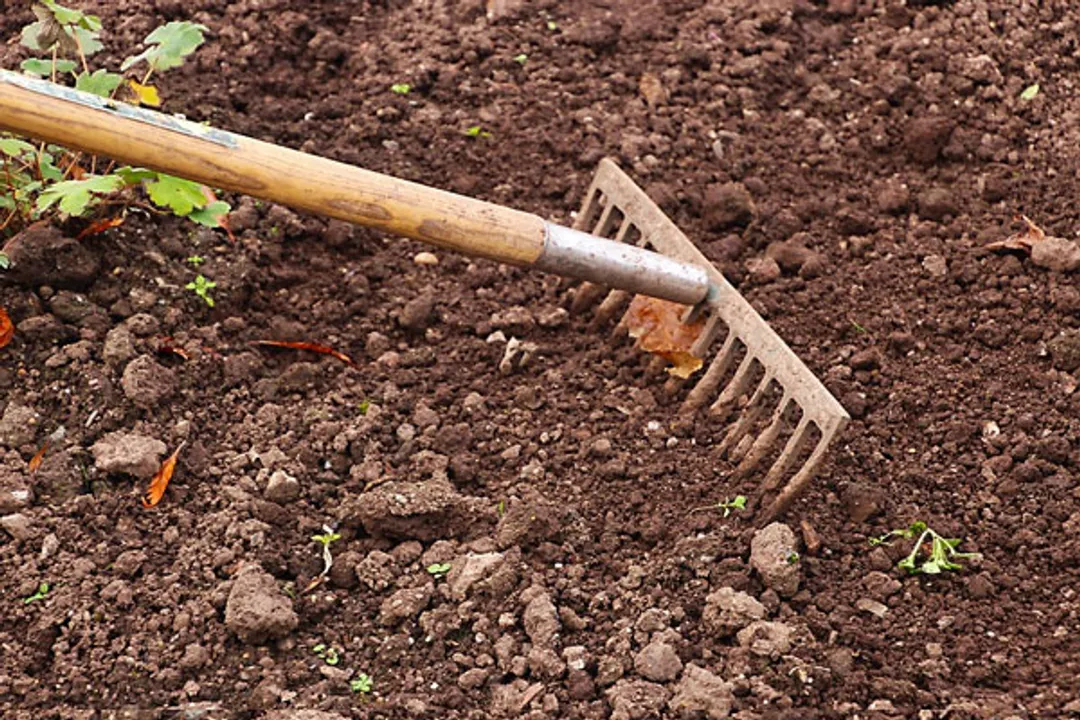  World Soil Day 2022 Theme, History and Why it is Celebrated