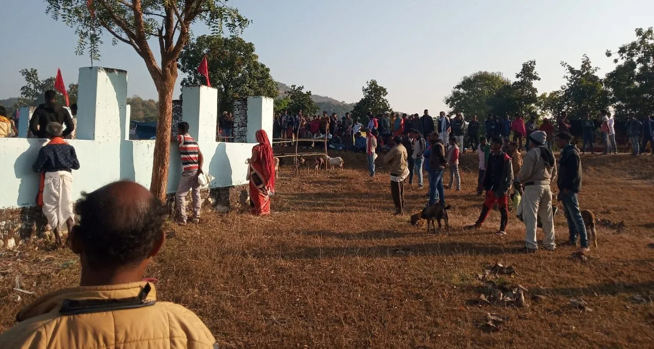  Animal sacrifice marks Sulia Jatra in Odisha's Balangir