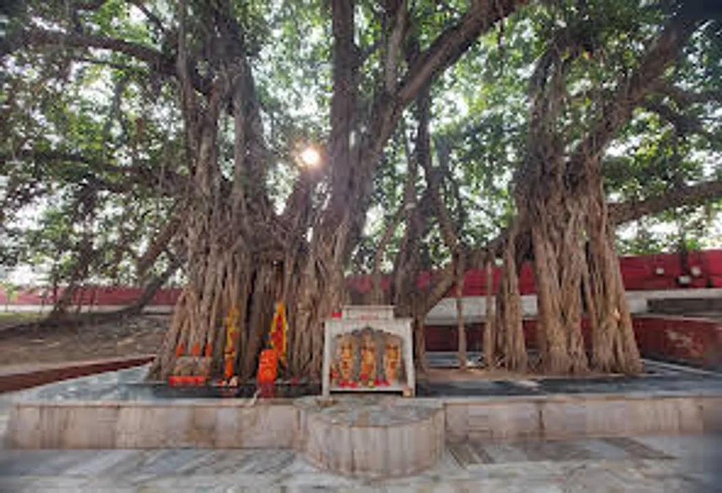  Akshayavat in Prayagraj to be developed as a corridor