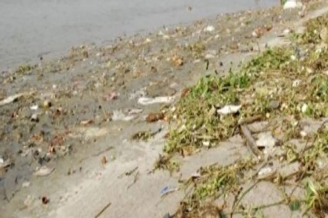  High pollution levels in all Chennai rivers, says TNPCB
