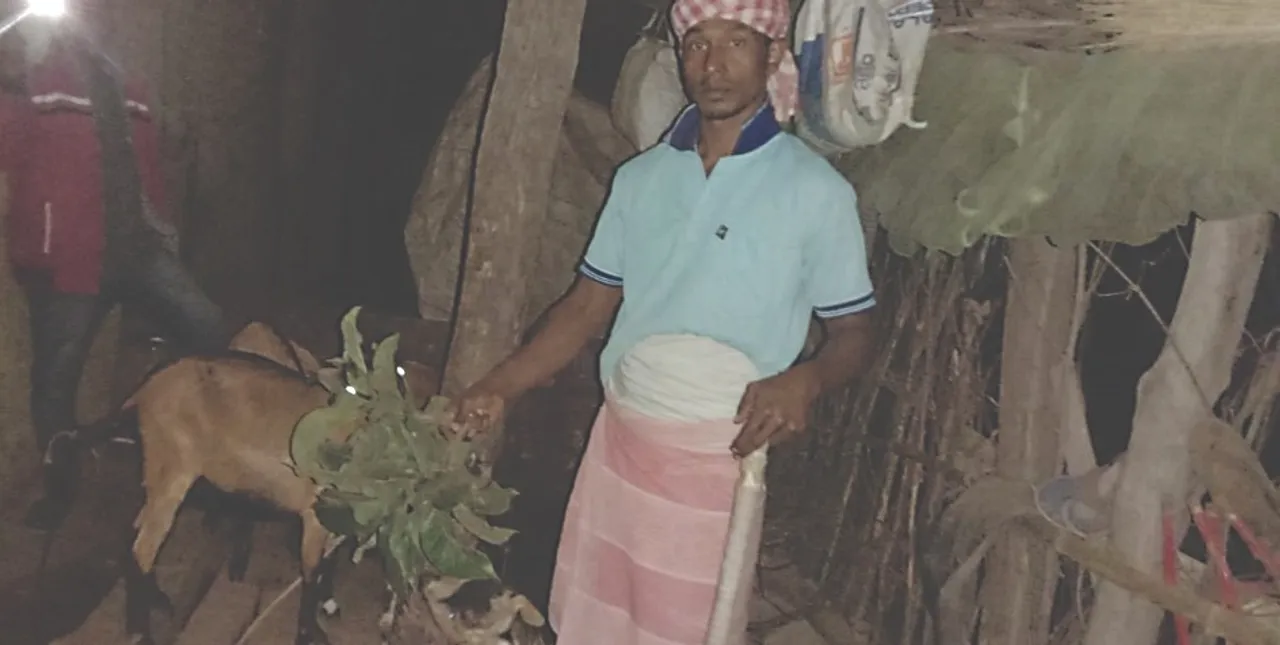  Sans support from Govt and district administration, this hockey player now grazes goats in Odisha's Sundargarh