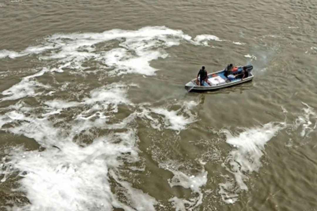  Yamuna Action Plan prepared to control pollution, says Haryana