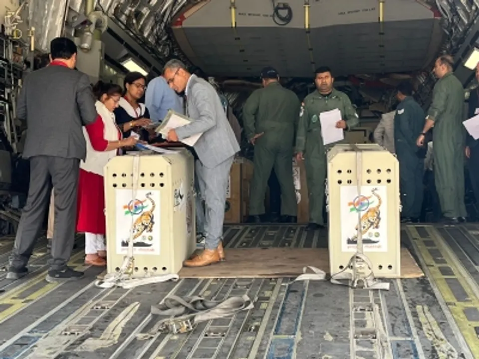  IAF plane carrying 12 cheetahs from South Africa arrives in MP's Gwalior