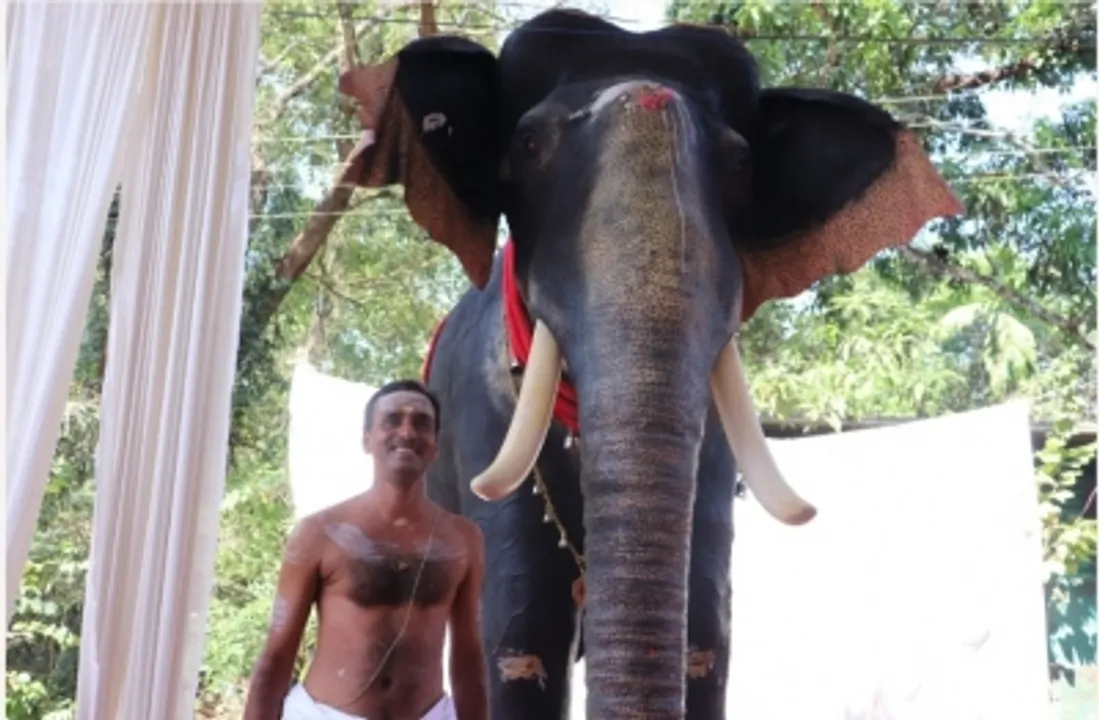  In a first, Kerala temple inducts mechanical elephant for ritual duties