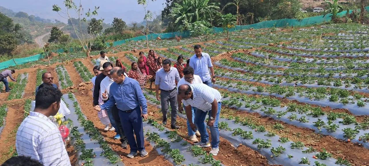  Odisha: Chief Secy visits Kotia, reviews developmental projects
