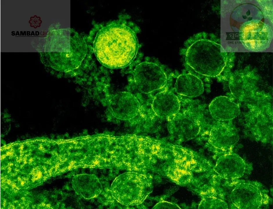  Antimicrobial resistance from pollution poses major threat to public health